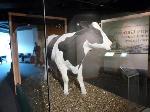 223407_10200679258327519_305939385_n